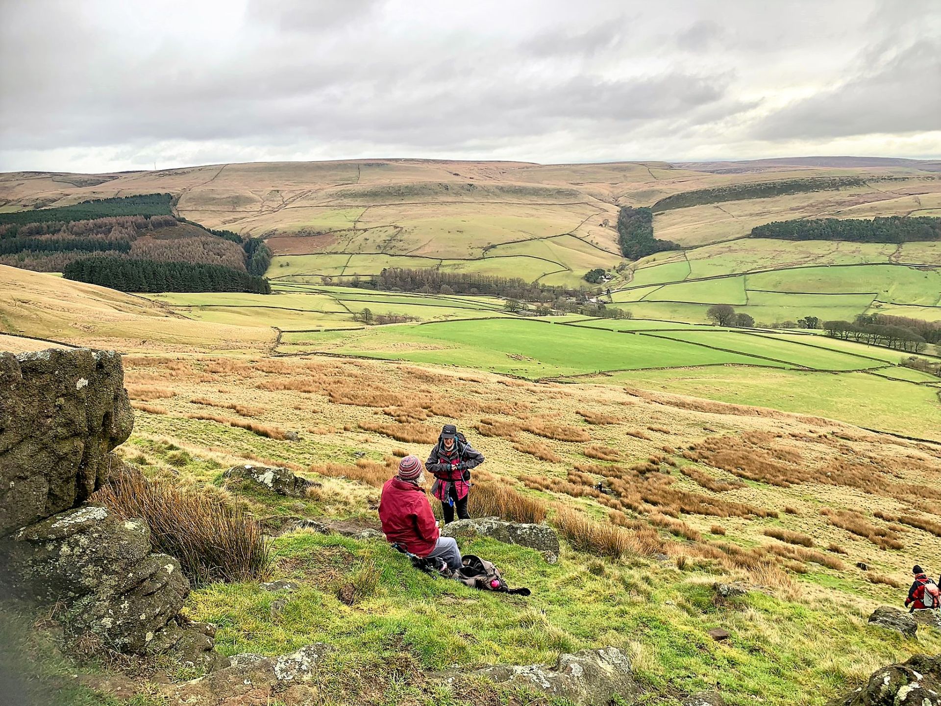Cat & Fiddle